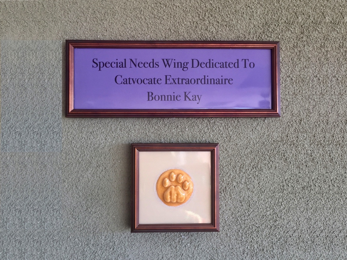 Hermitage cat shelter donor plaque